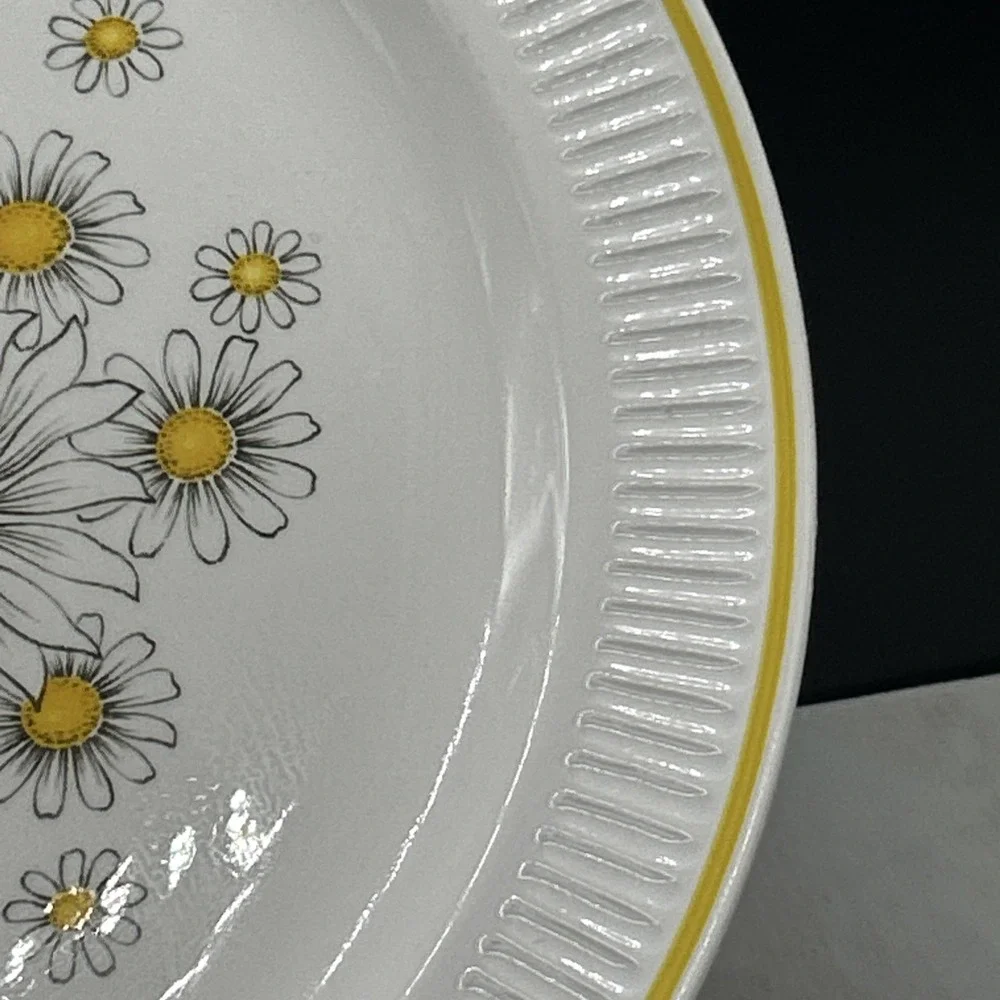 Vintage Atkins Ironstone Ware Daisy Japan 12